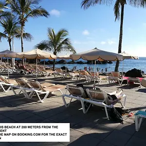 https://apartamento-valeria.puertodelcarmen-hotels.org